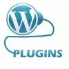 Plugin 2